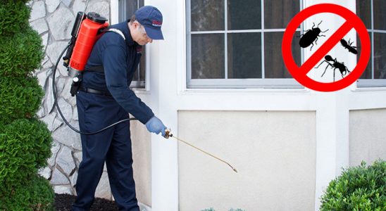 Sarıyer Akrep İlaçlama böcek ilaçlama ve haşere kontrolü — ilaclama-tr.com